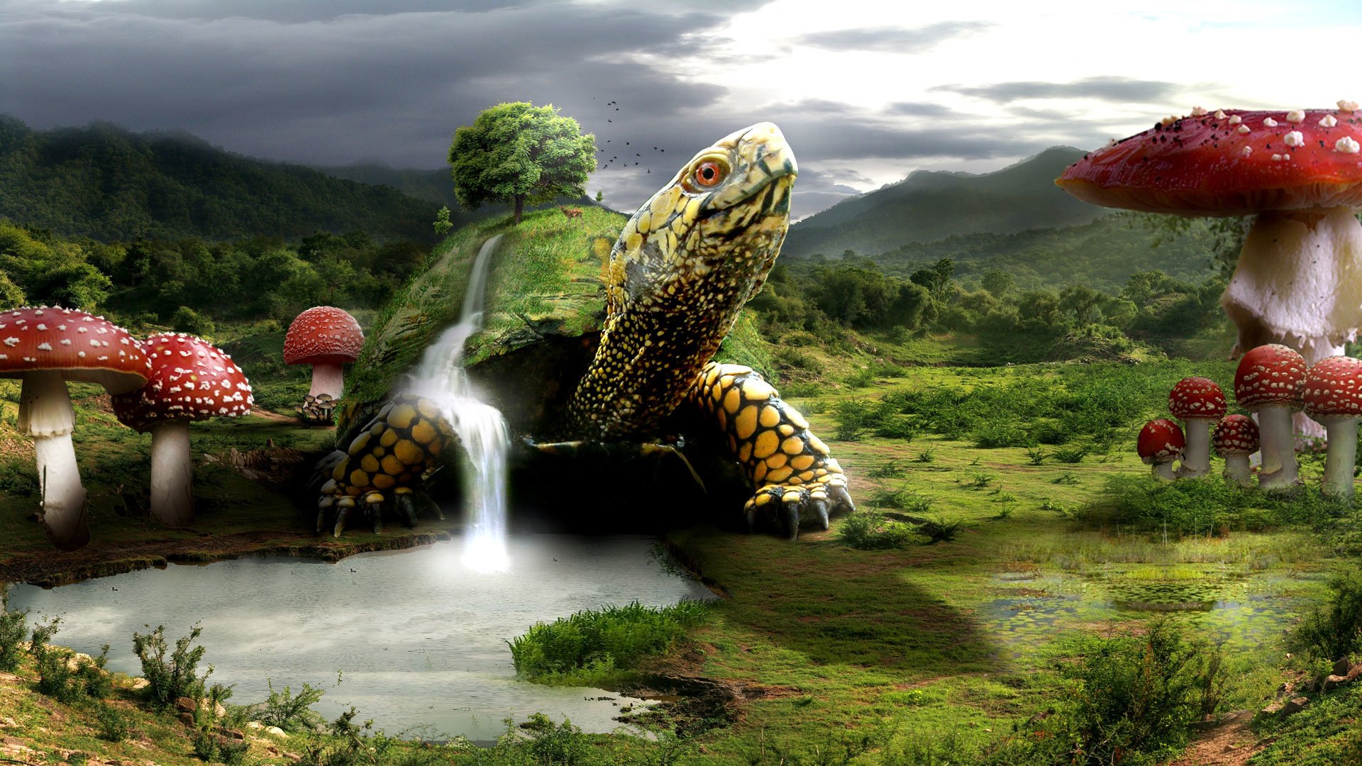 Fantasy Turtle Wallpapers