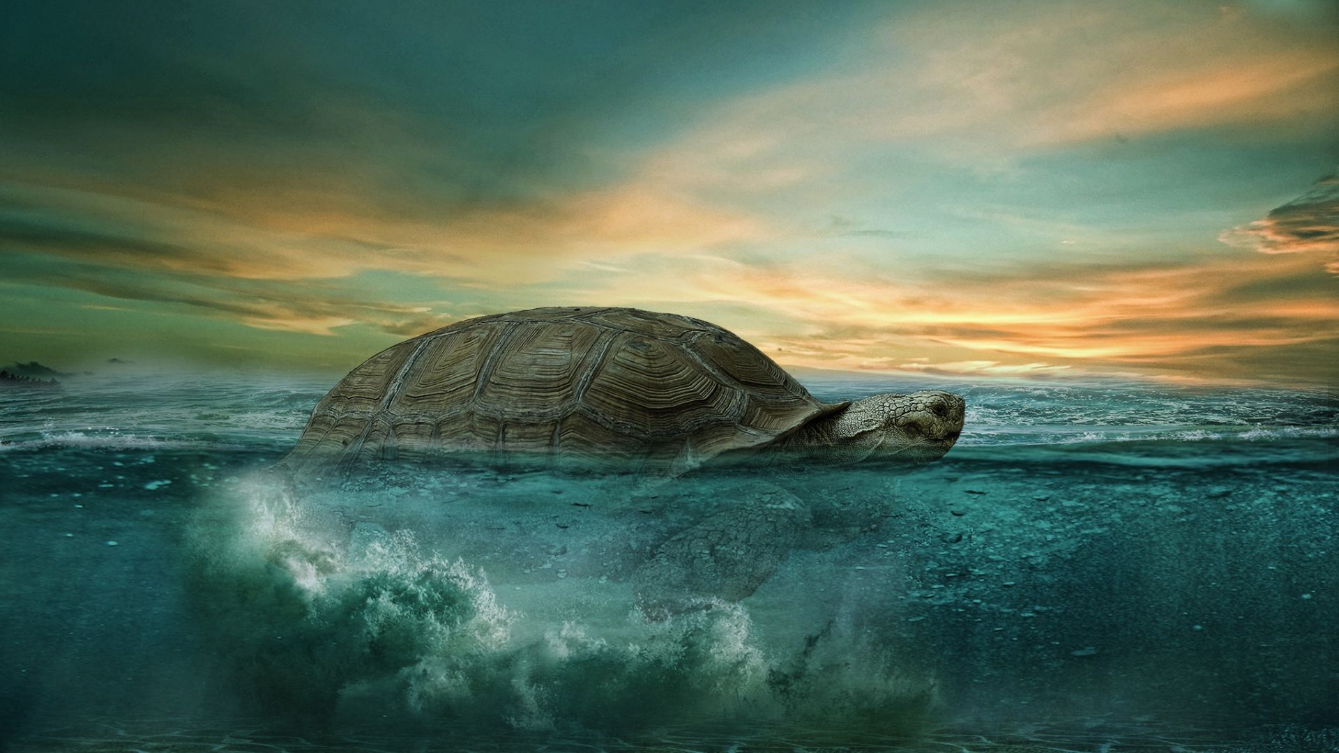 Fantasy Turtle Wallpapers