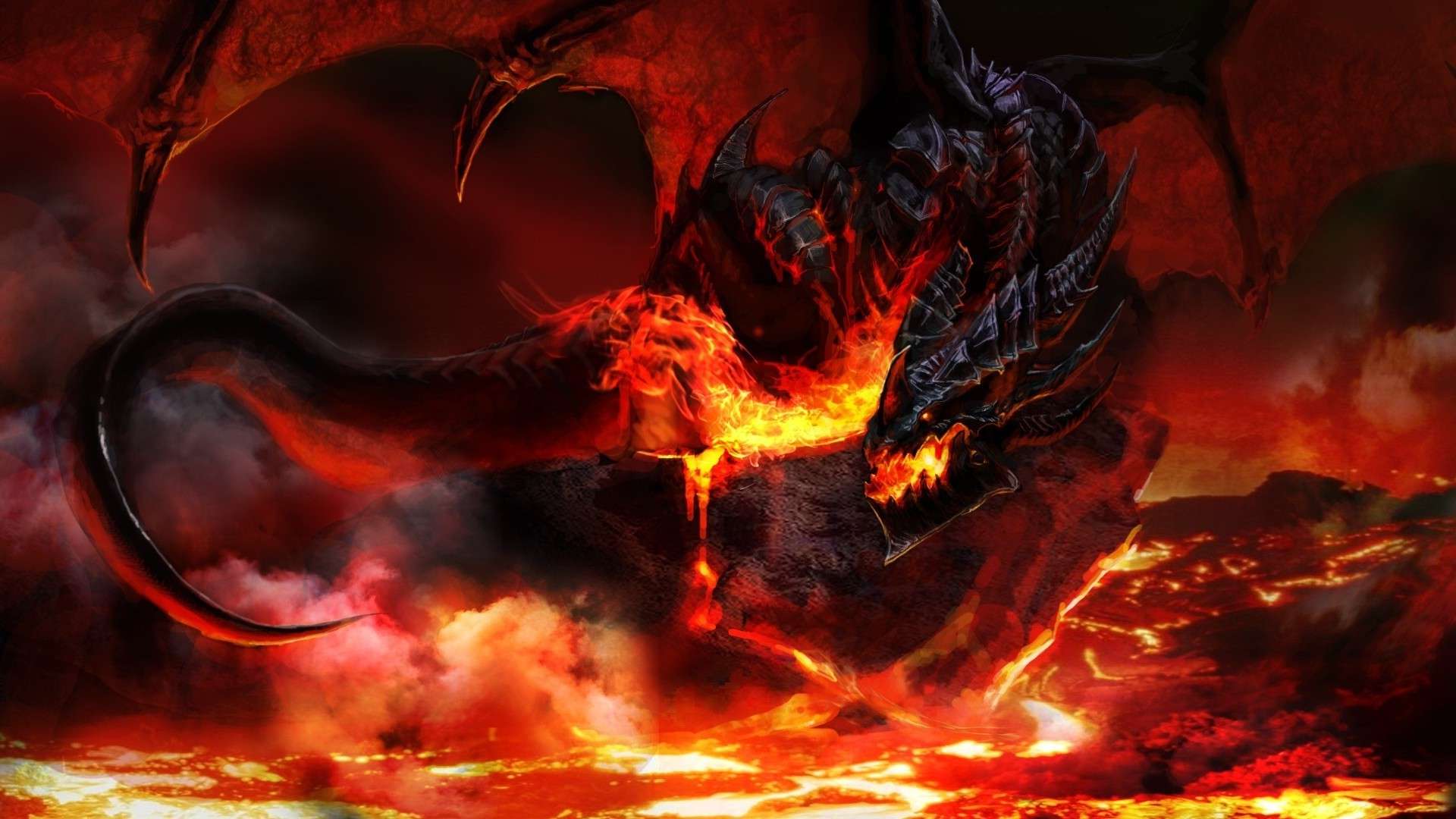 Firey Dragon
 Wallpapers