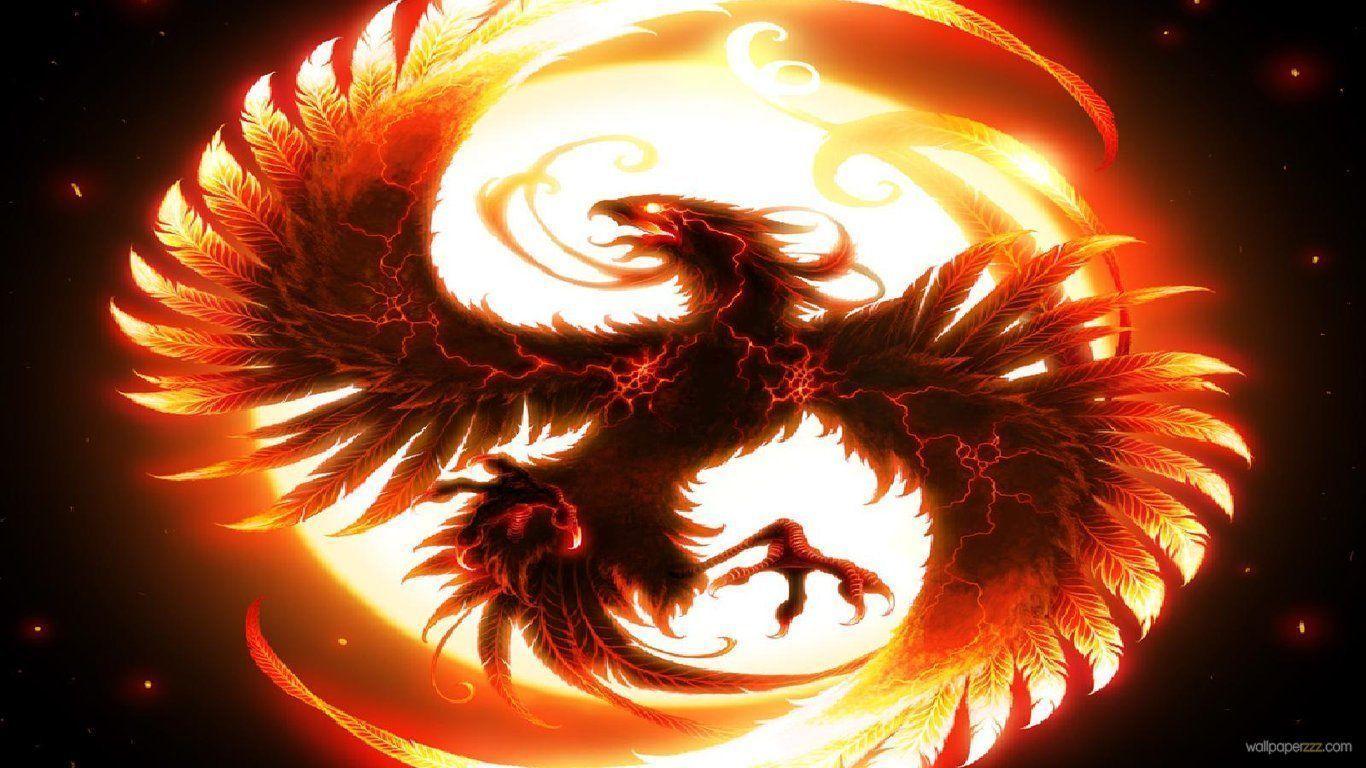 Firey Dragon
 Wallpapers