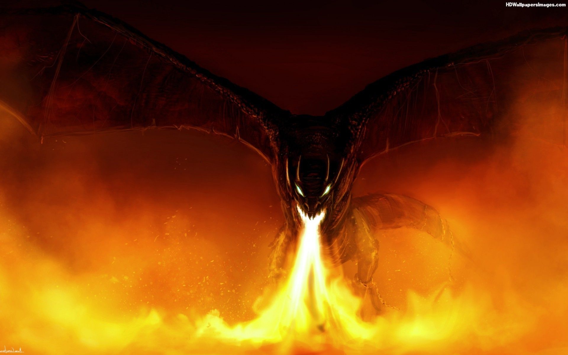 Firey Dragon
 Wallpapers