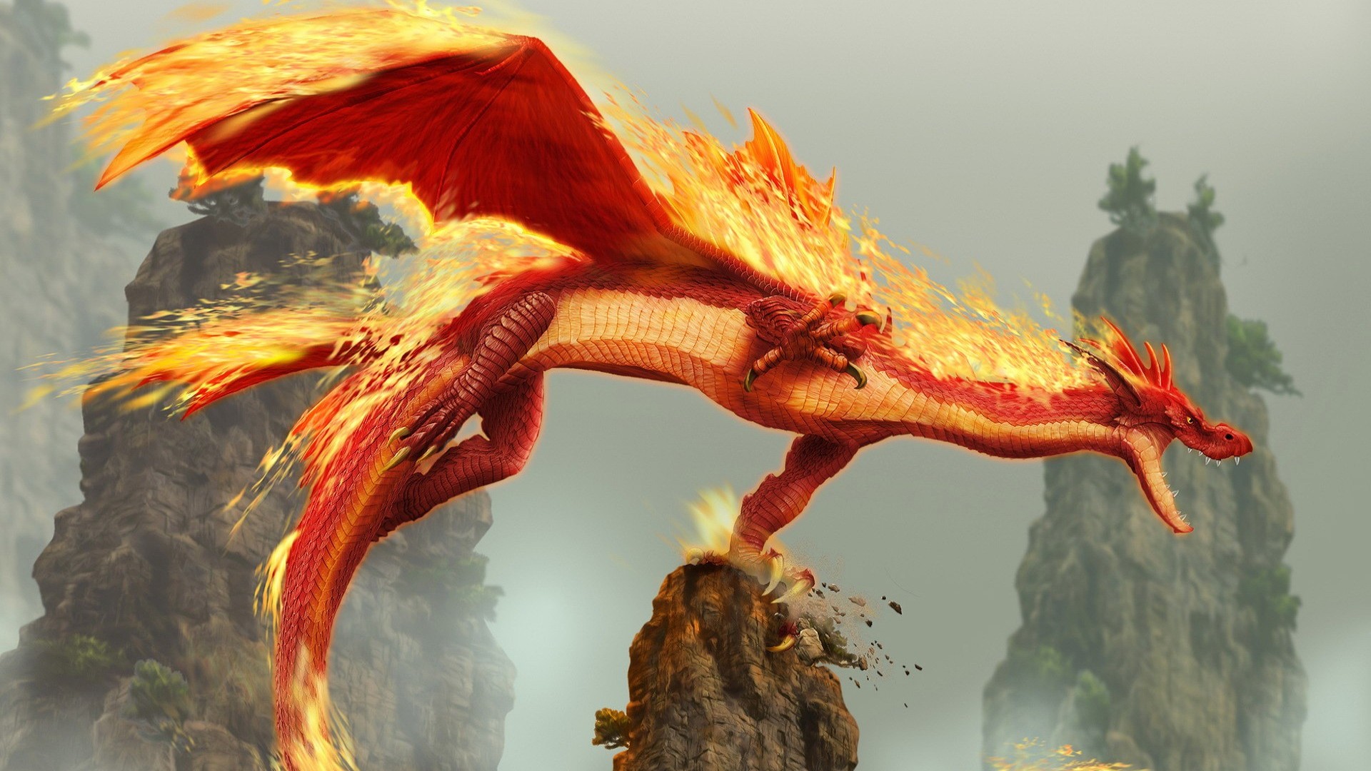 Firey Dragon
 Wallpapers