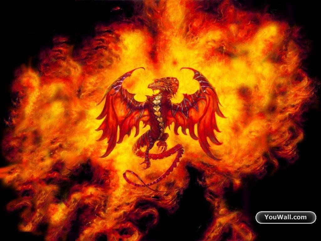 Firey Dragon
 Wallpapers