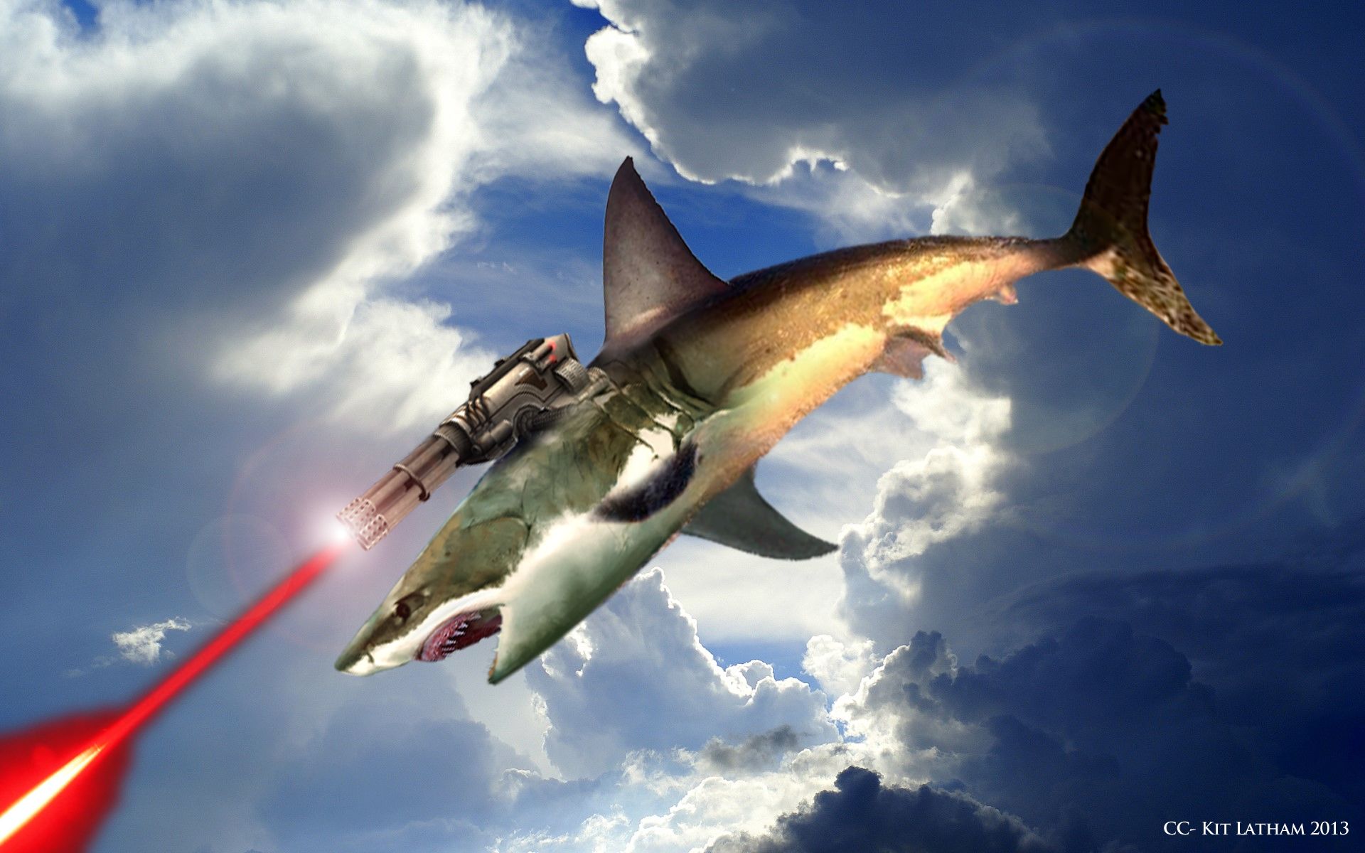 Flying Shark
 Wallpapers