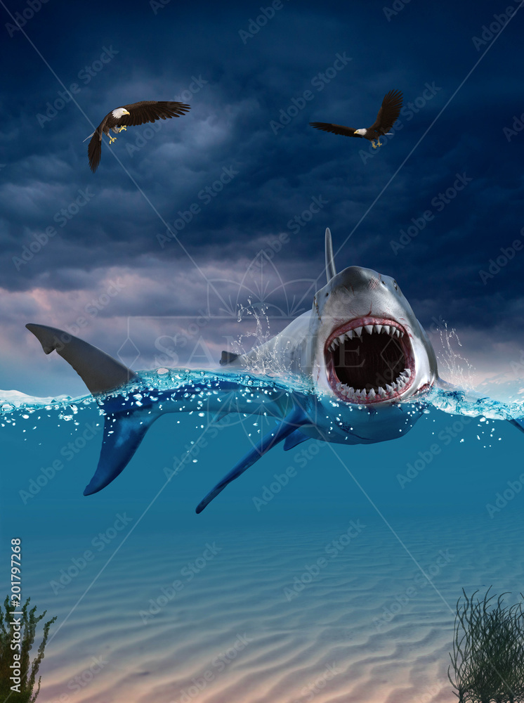 Flying Shark
 Wallpapers