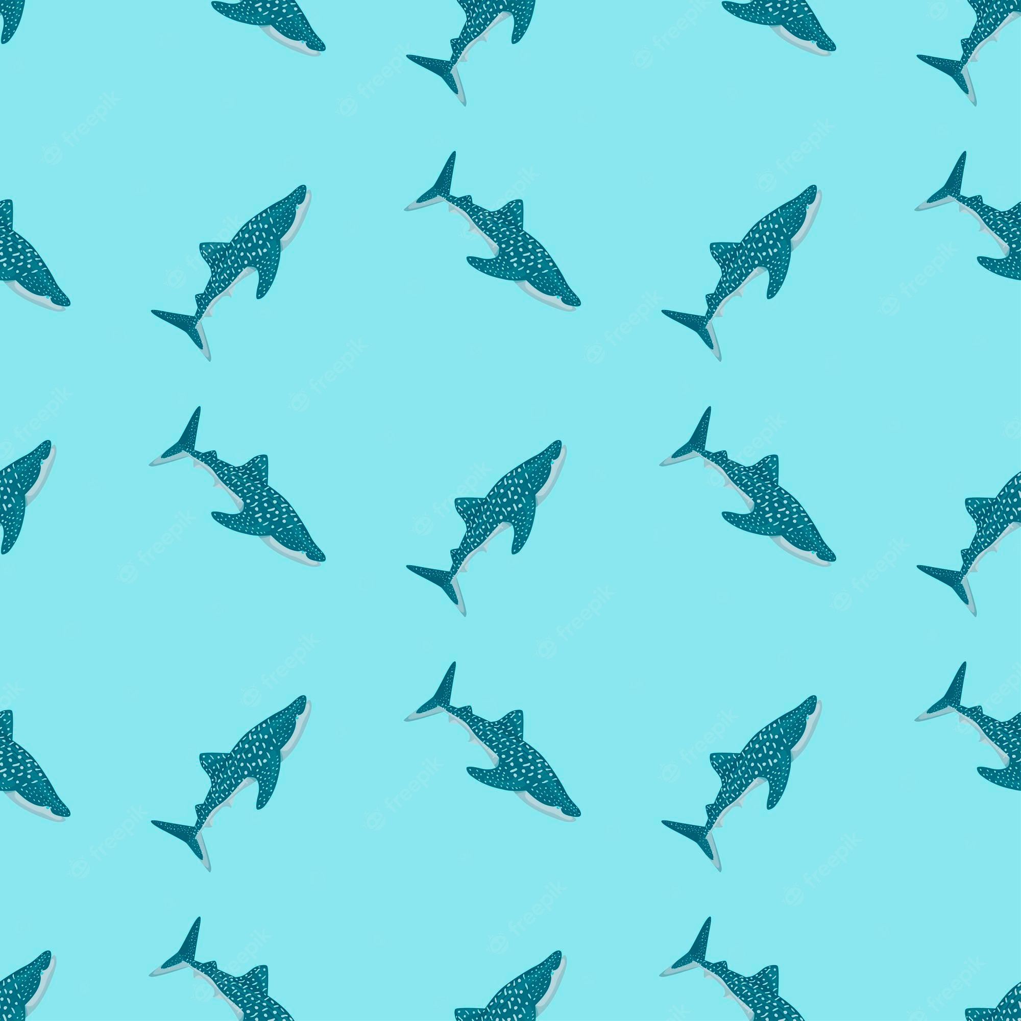 Flying Shark
 Wallpapers