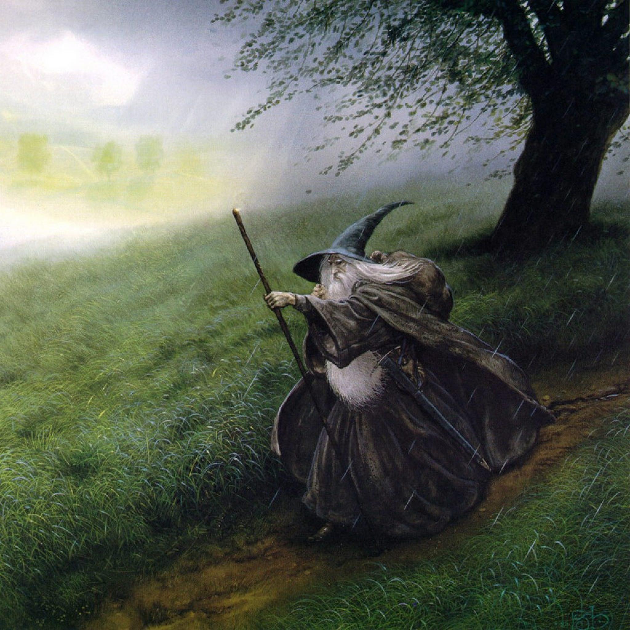 Gandalf The Lord Of The Rings Art
 Wallpapers