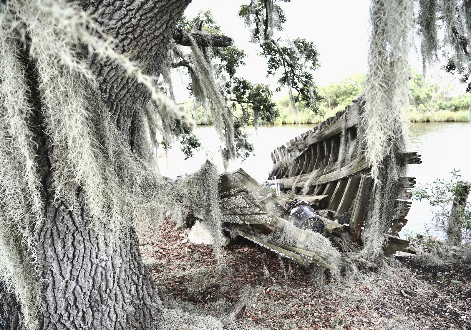 Giant Mountain Monster In Forest
 Wallpapers