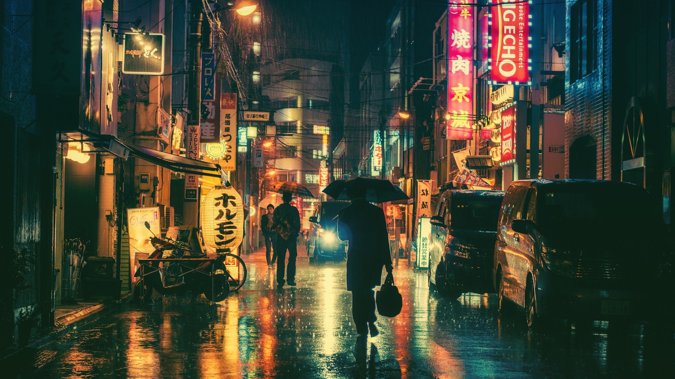 Japanese Warrior In Rain
 Wallpapers