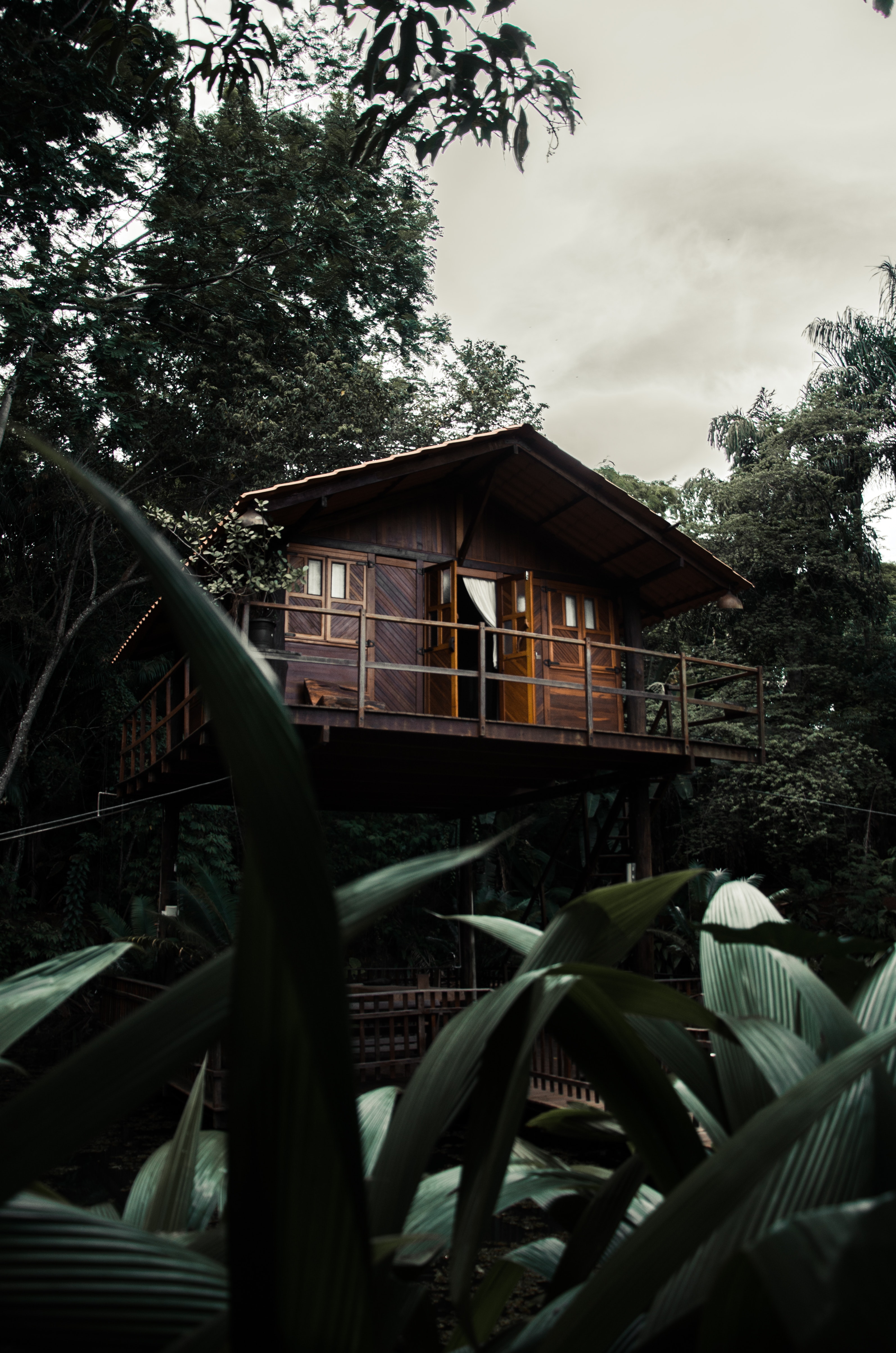 Kids Tree House
 Wallpapers