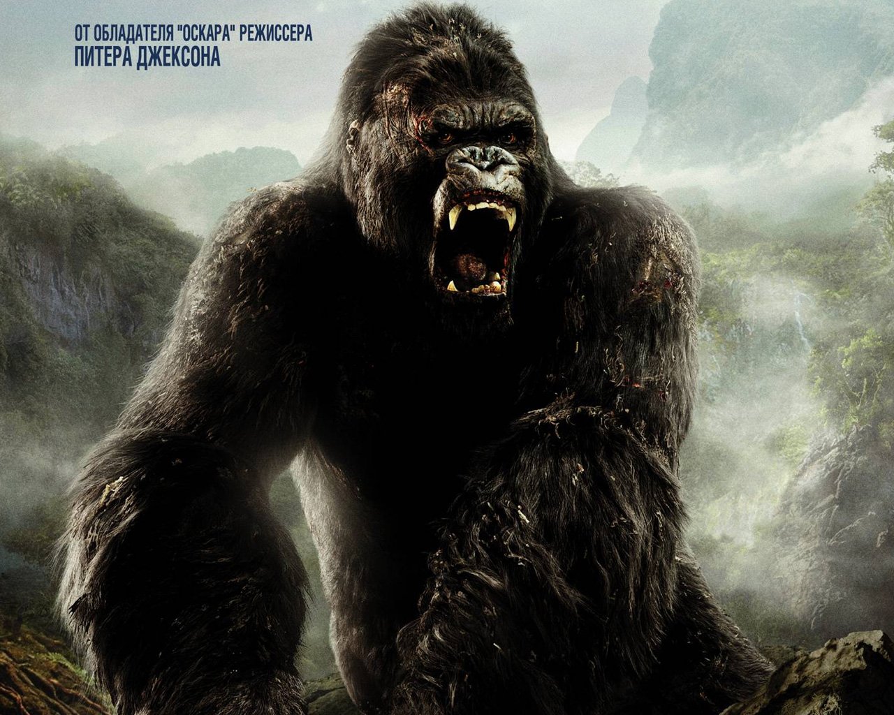 King Kong
 Wallpapers