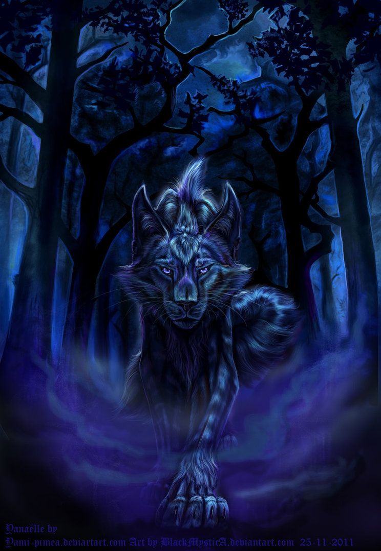 Labyrinth Wolf And Boy 3D Abstract Fantasy Art
 Wallpapers