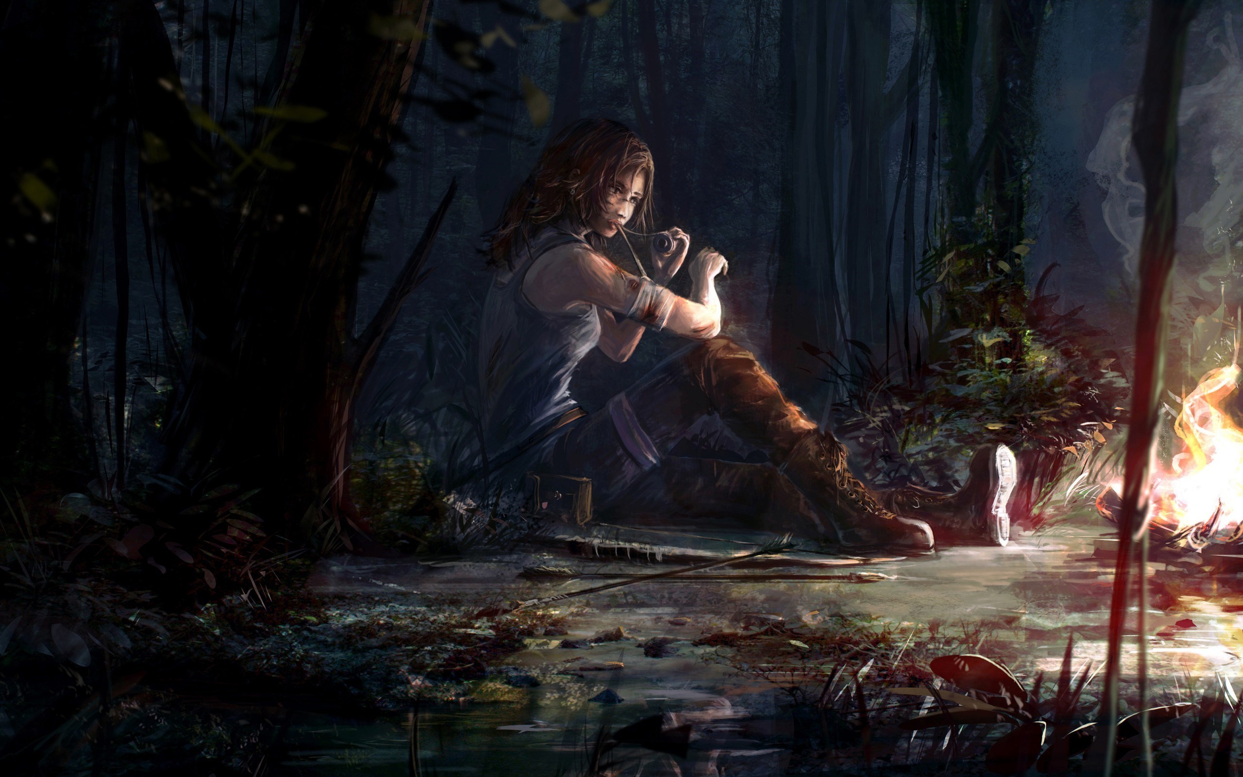 Lara Croft Tomb Raider Artwork
 Wallpapers