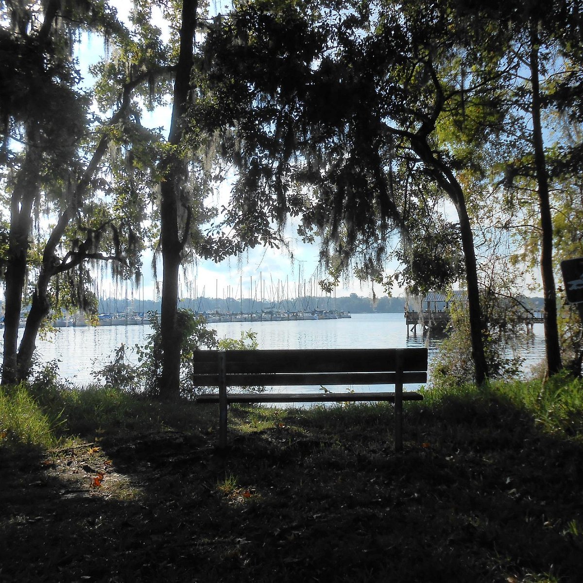 Red Dragon Sitting Outside Lake
 Wallpapers