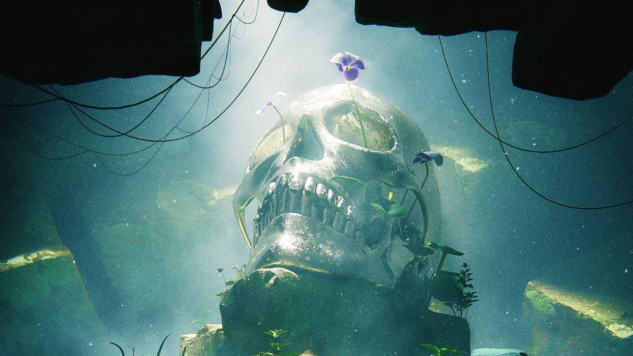 Skull Underwater
 Wallpapers