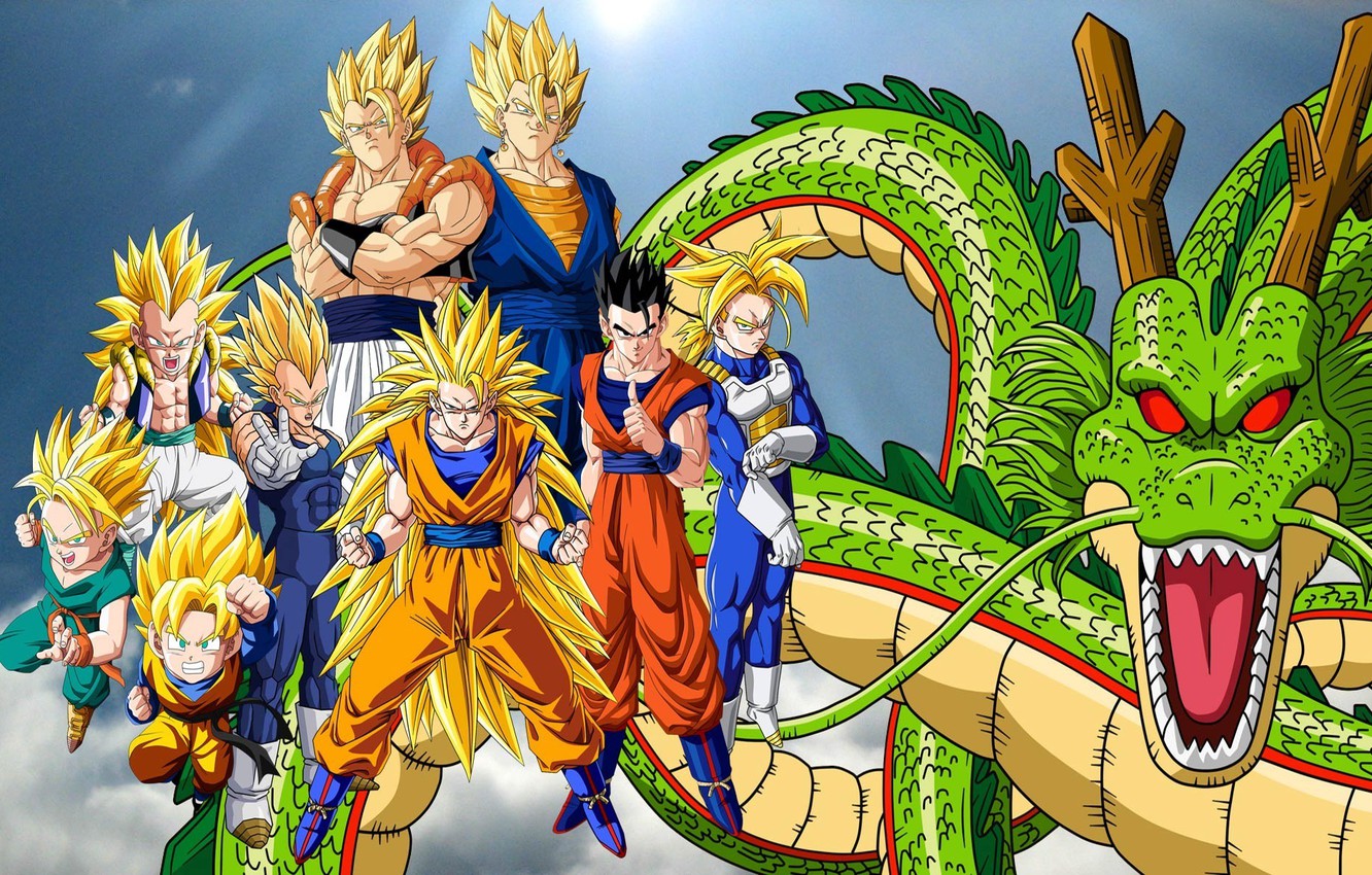 Warrior And Shenlong Art
 Wallpapers