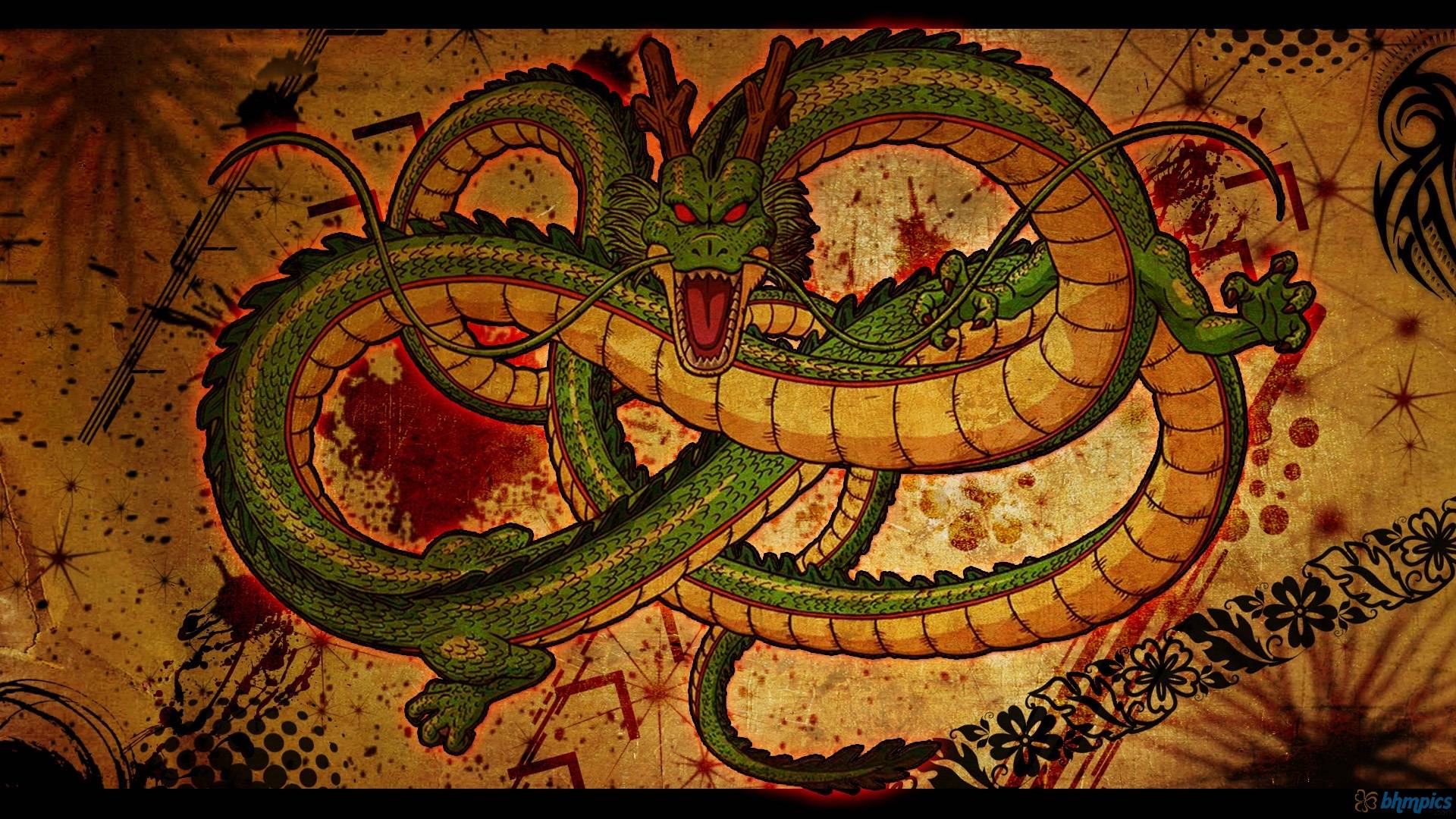 Warrior And Shenlong Art
 Wallpapers