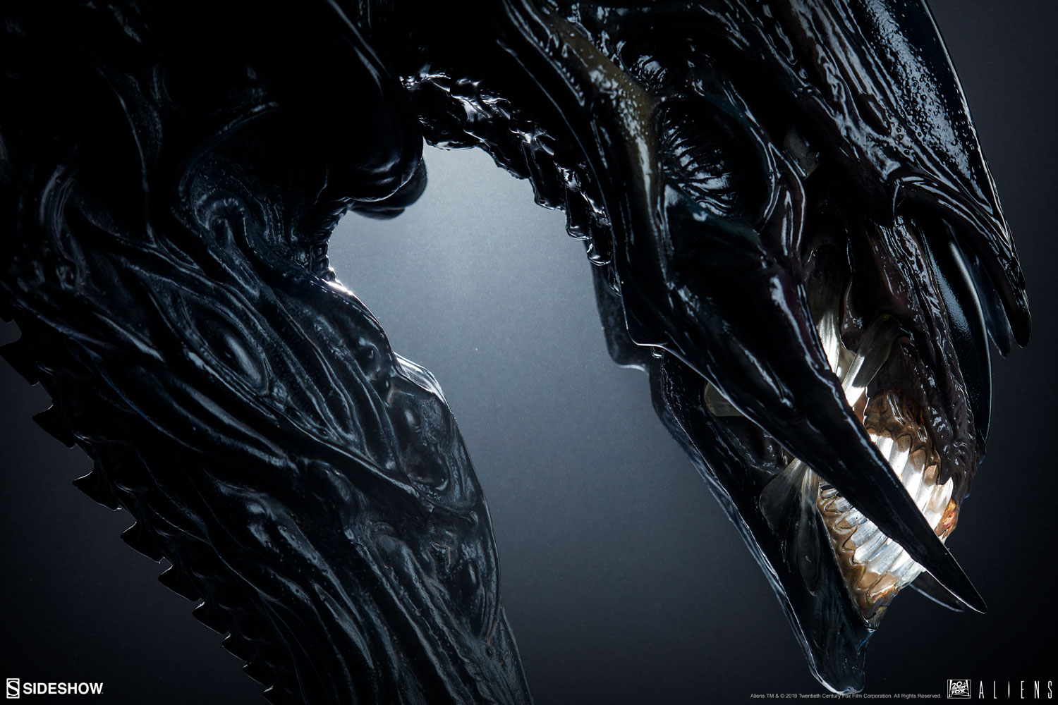 Xenomorph Queen
 Wallpapers