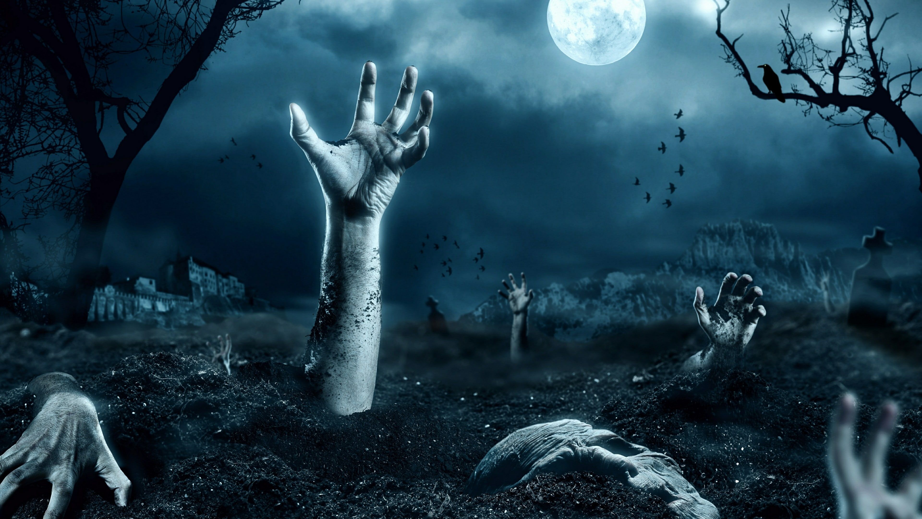 Zombie Hand From Cemetery
 Wallpapers