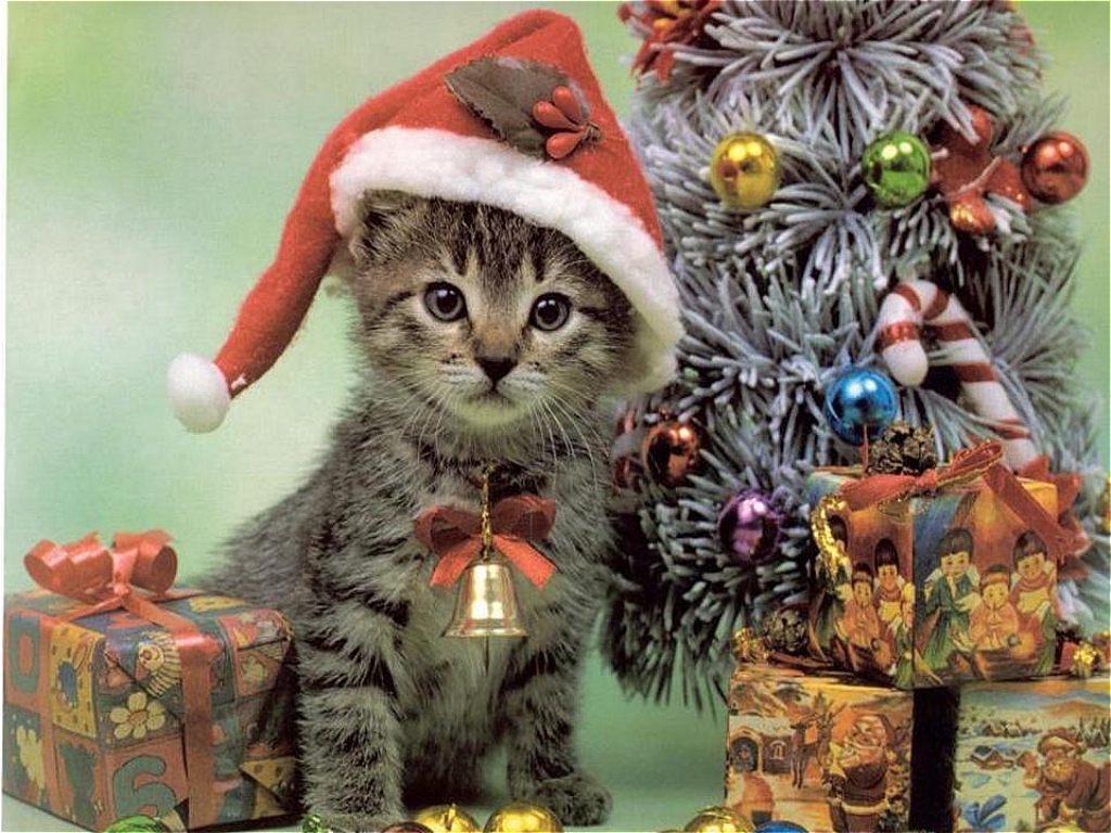 Christmas Animals Wallpapers