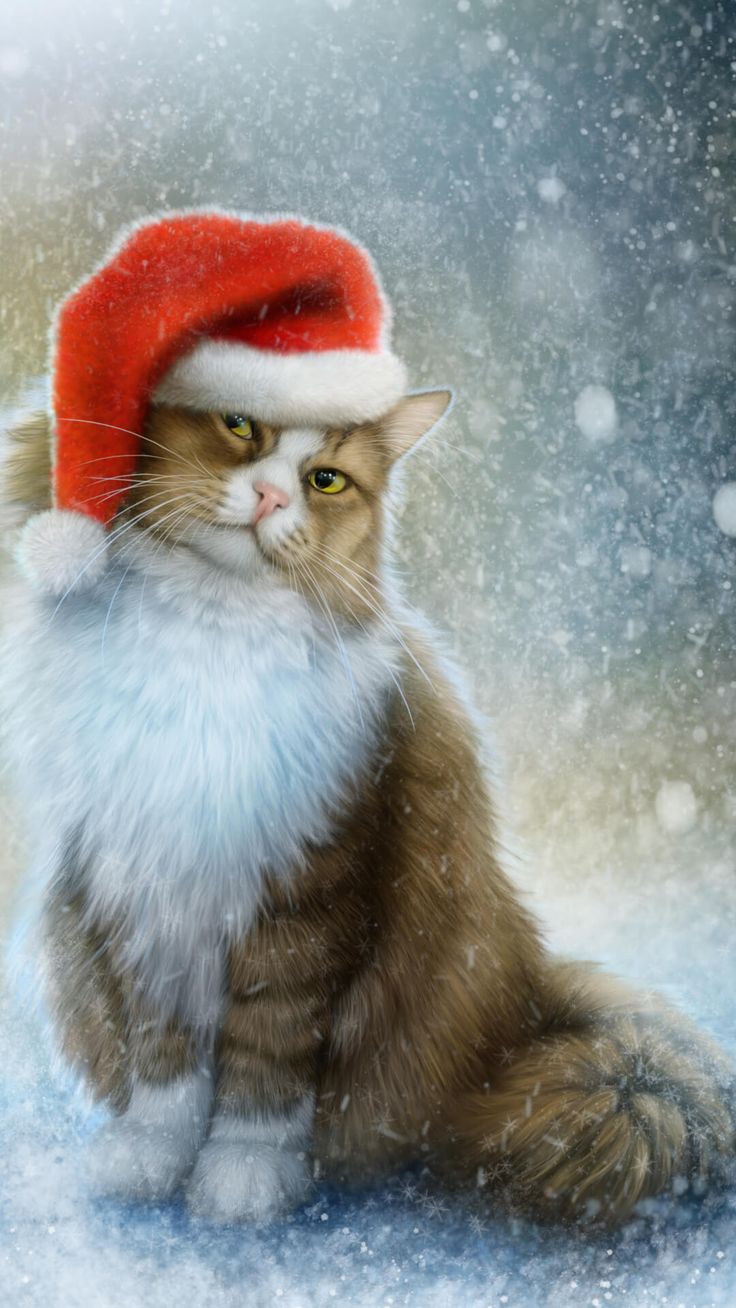 Christmas Cat Wallpapers