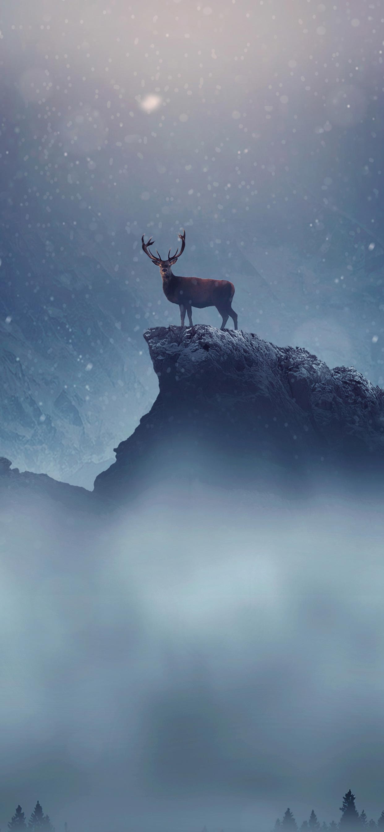 Christmas Deer Wallpapers