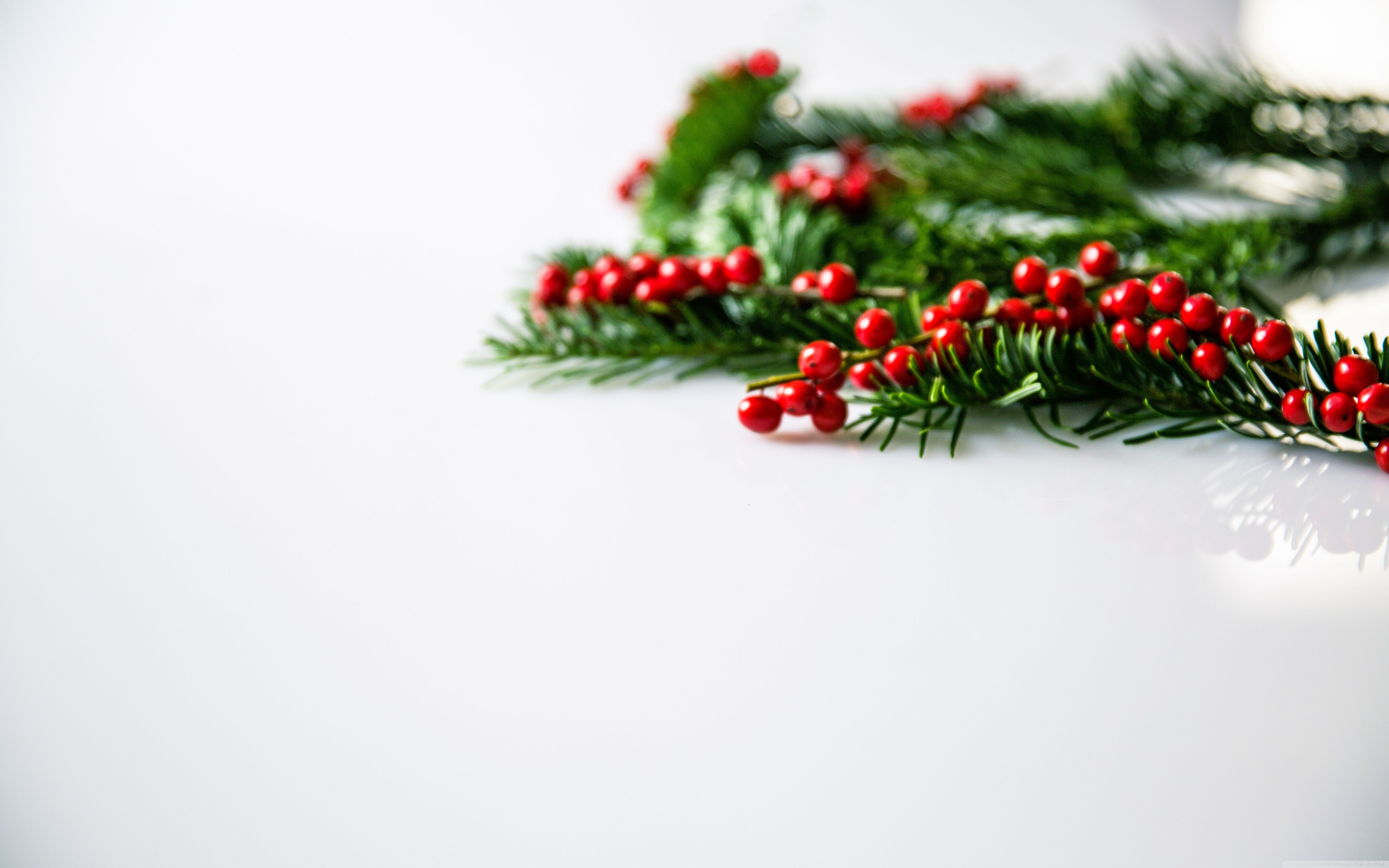 Christmas Holly Wallpapers