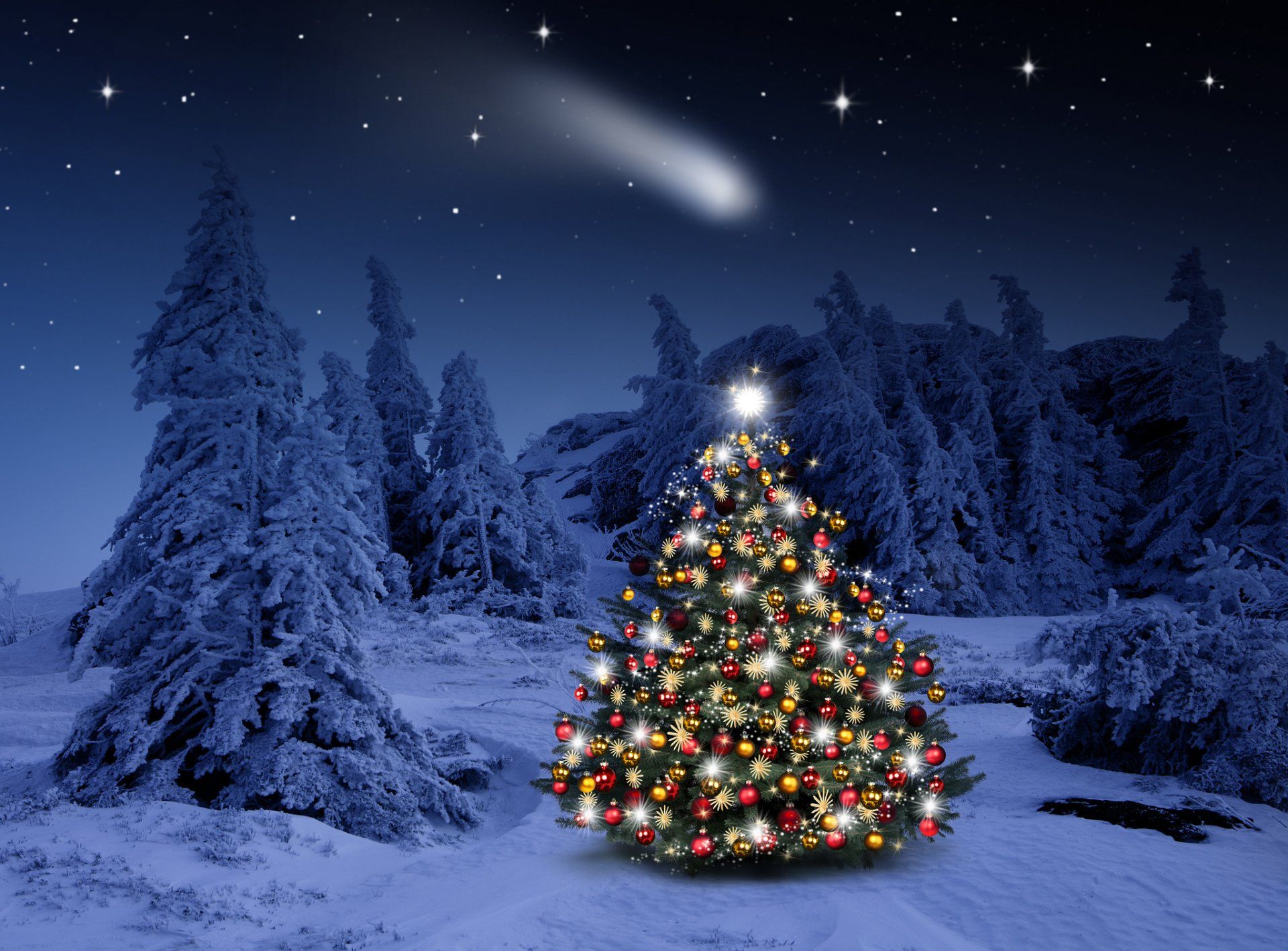 Christmas Lighted Tree Outside Winter Cabin Wallpapers