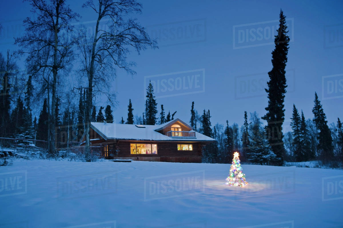 Christmas Lighted Tree Outside Winter Cabin Wallpapers