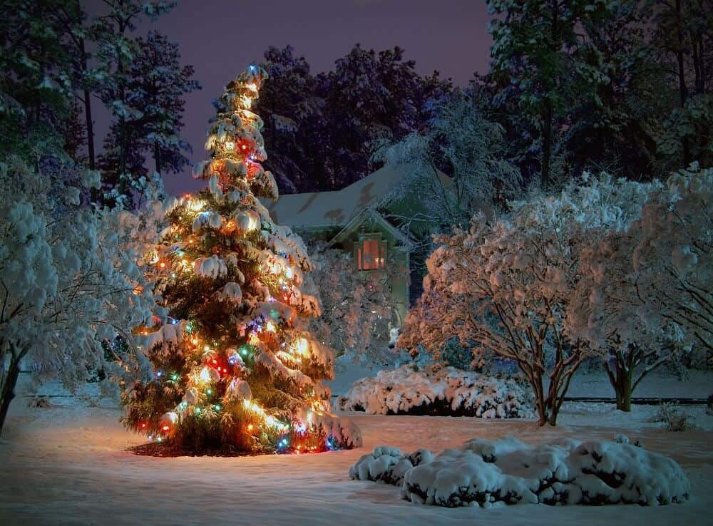 Christmas Lighted Tree Outside Winter Cabin Wallpapers