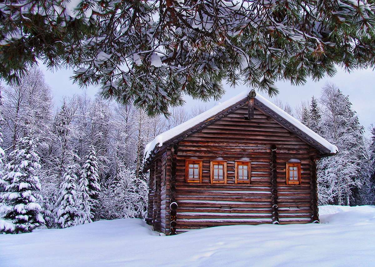 Christmas Lighted Tree Outside Winter Cabin Wallpapers