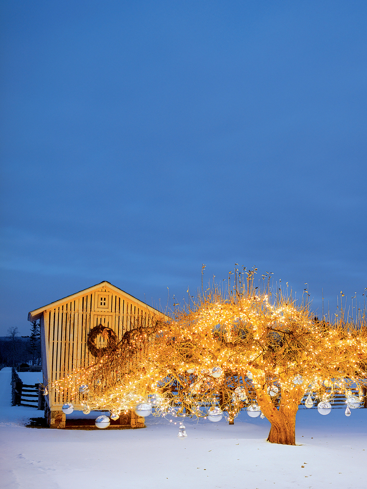 Christmas Lighted Tree Outside Winter Cabin Wallpapers