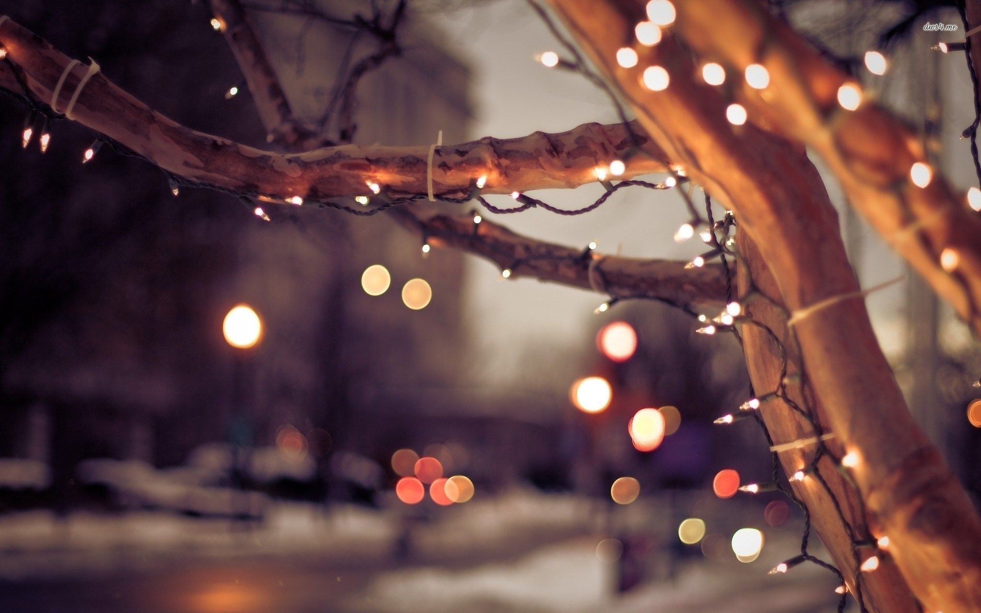 Christmas Lights Wallpapers