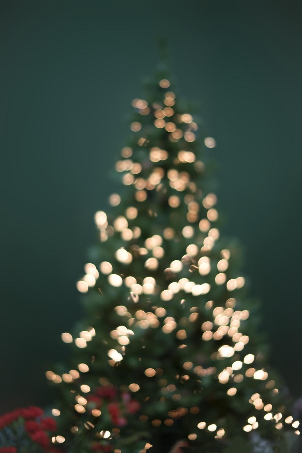 Christmas Lights Aesthetic Wallpapers