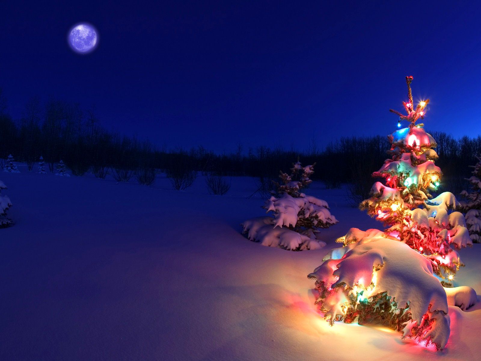 Christmas Lights Snow Wallpapers