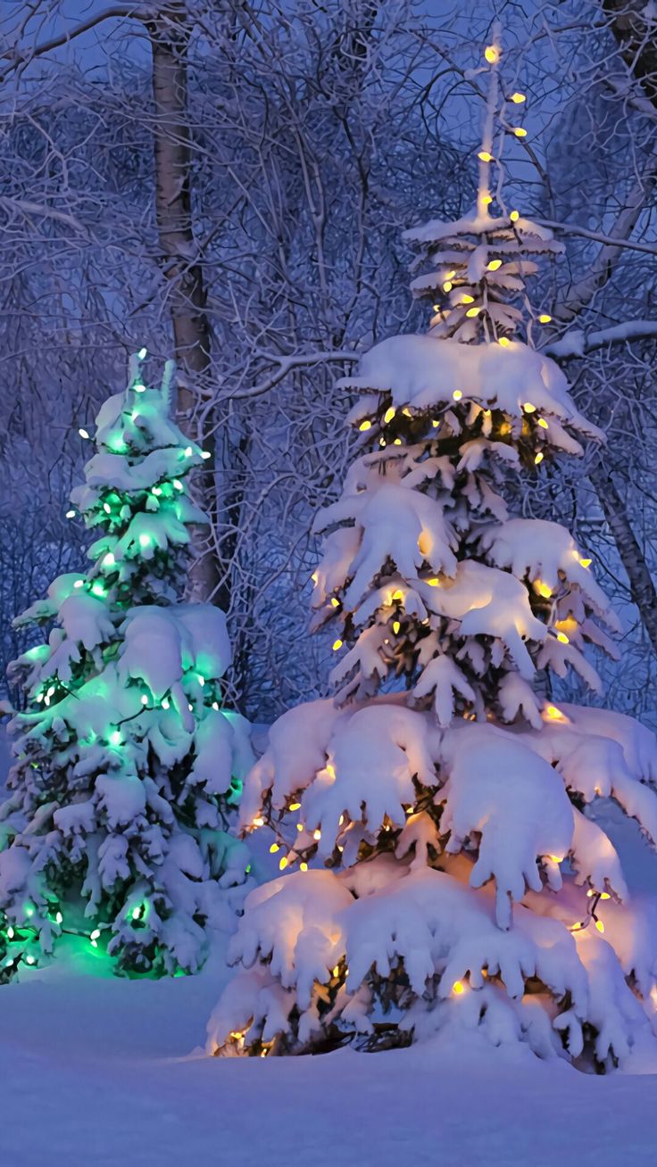 Christmas Lights Snow Wallpapers