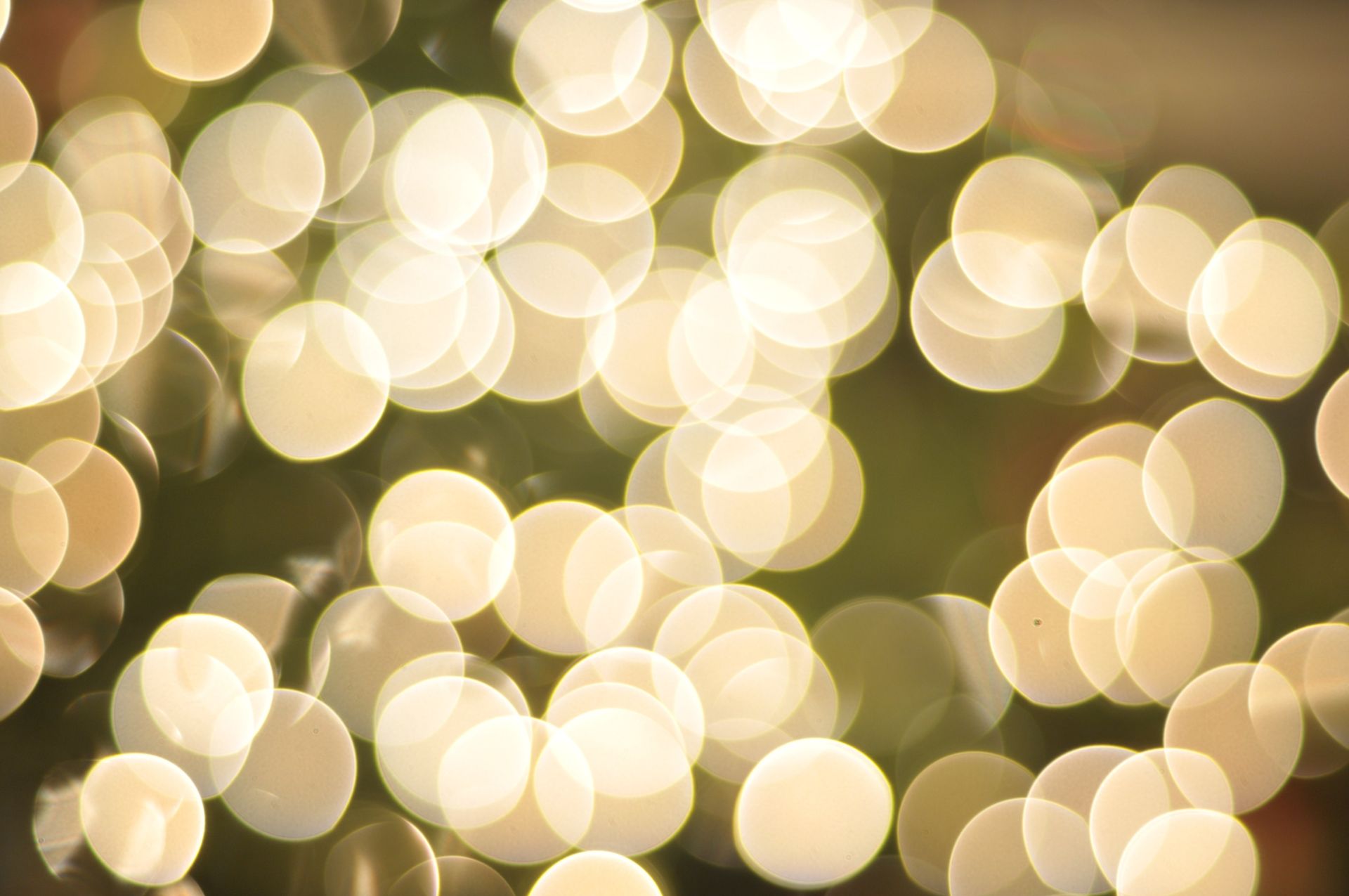 Christmas Lights White Wallpapers