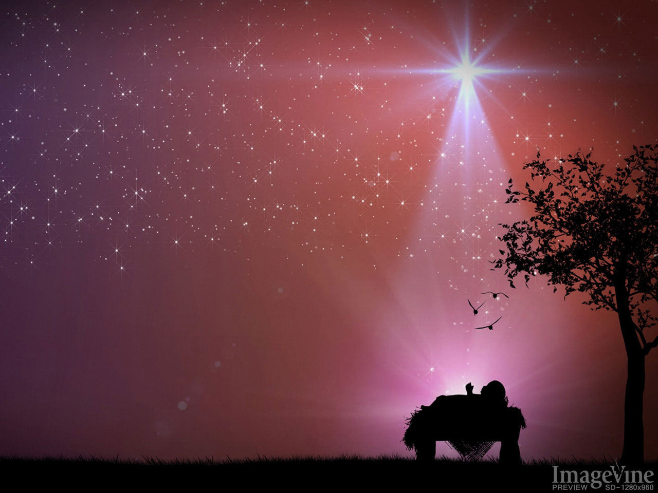 Christmas Manger Wallpapers