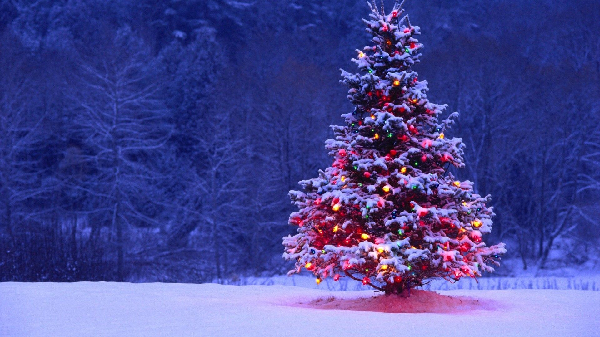 Christmas Nature Wallpapers