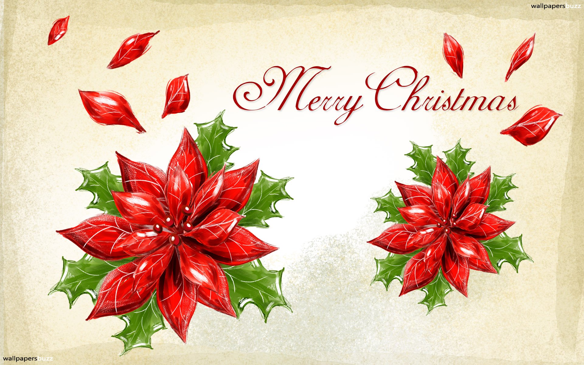 Christmas Poinsettia Wallpapers