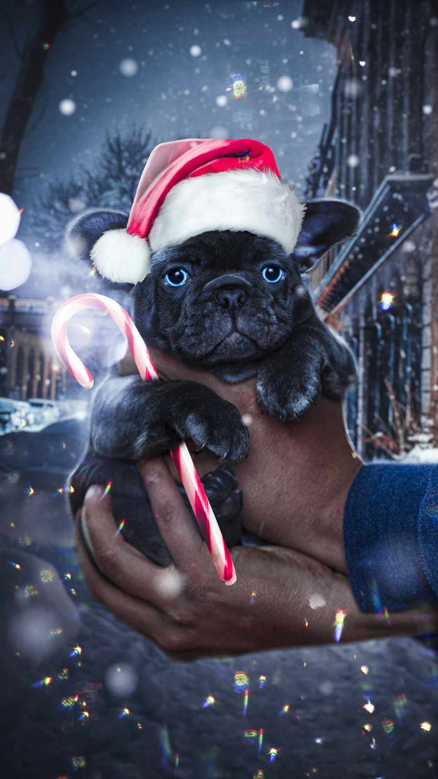 Christmas Puppy Wallpapers