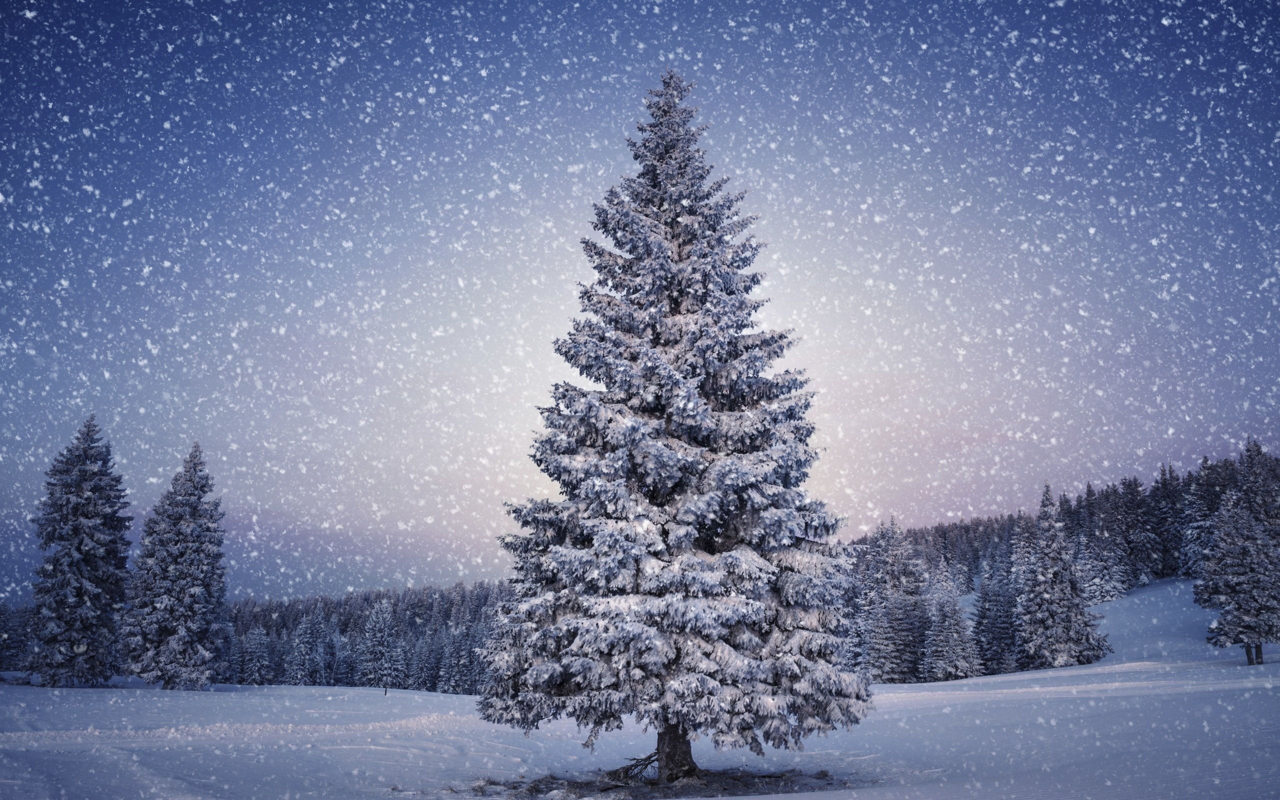 Christmas Snow Scene Wallpapers