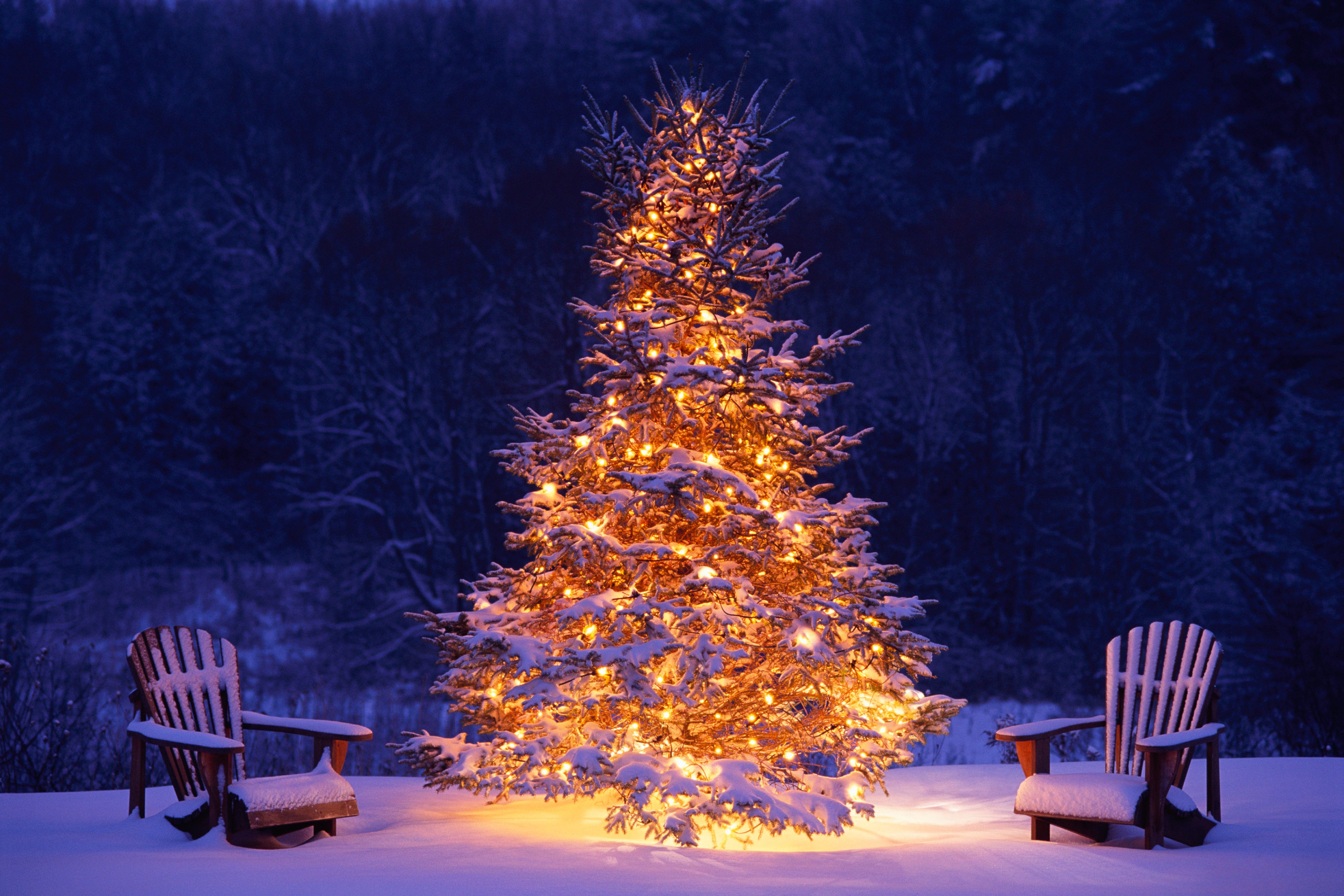 Christmas Tree Desktop Wallpapers