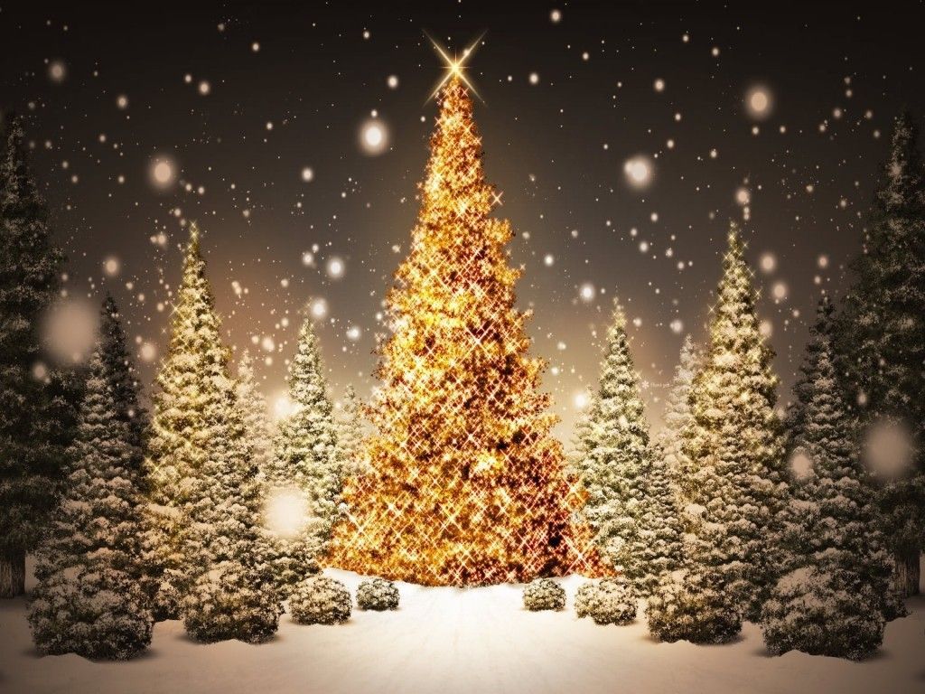 Christmas Tree With Light Decorations Wallpapers