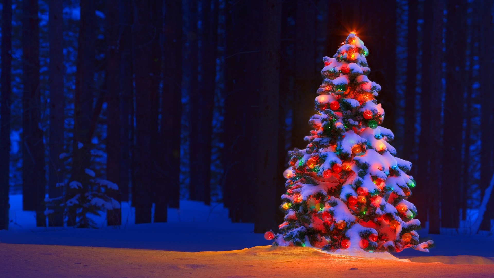 Christmas Tree With Snow And Lights Decoration Wallpapers