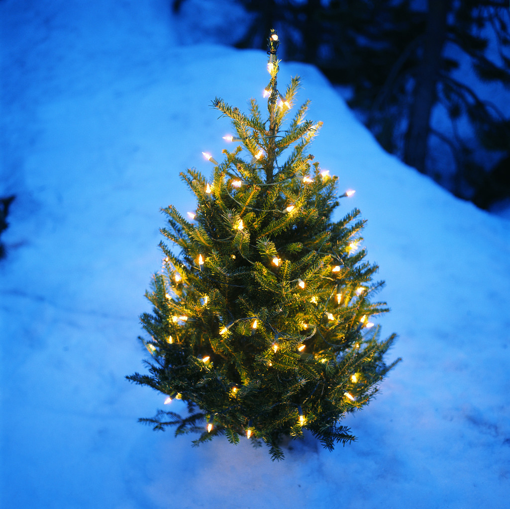 Christmas Tree With Snow And Lights Decoration Wallpapers