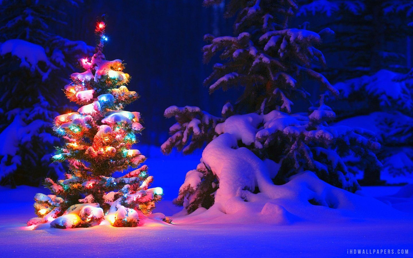 Christmas Windows Wallpapers