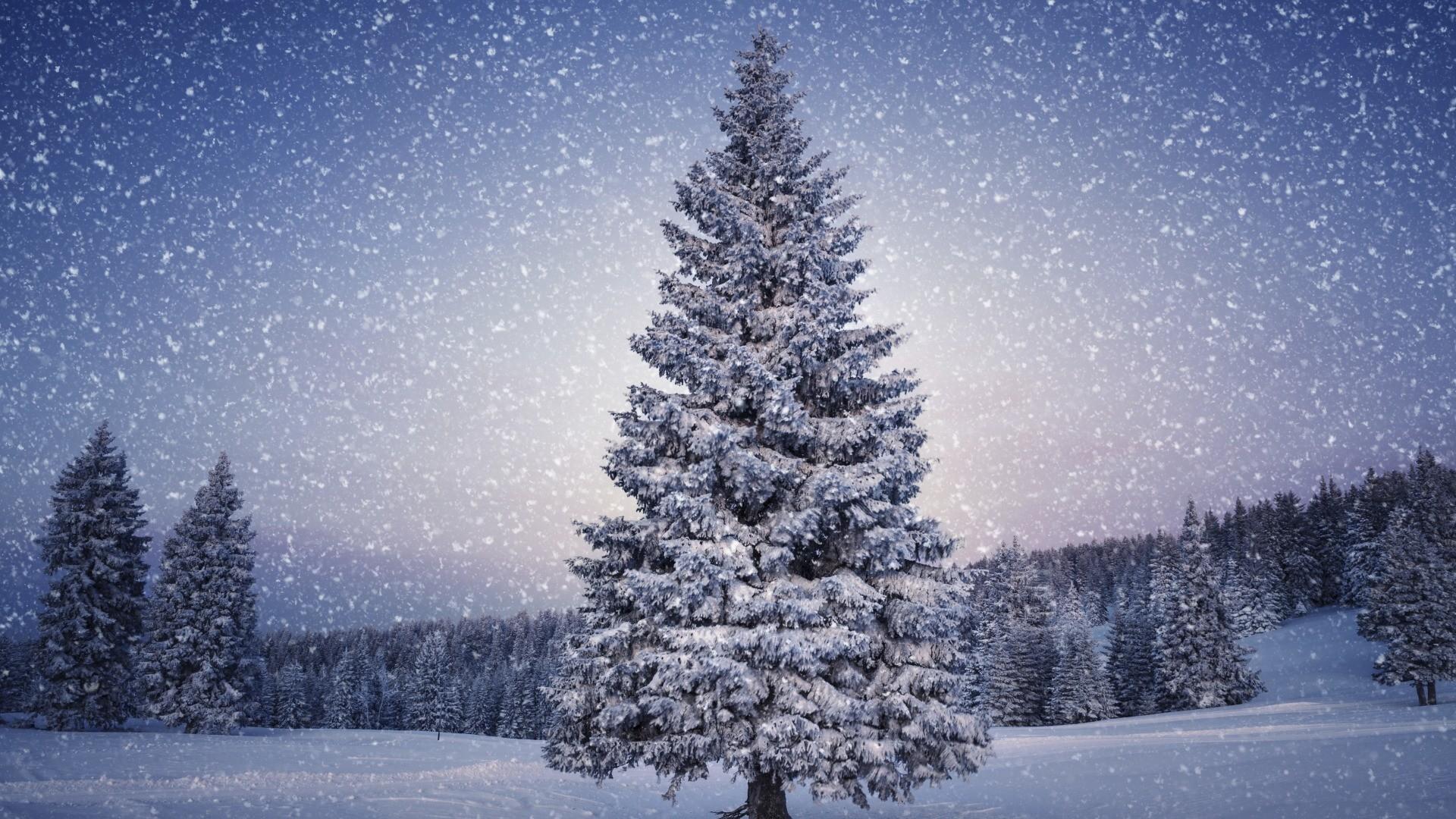 Christmas Winter Scenes Wallpapers