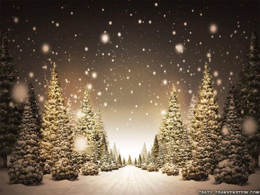 Christmas Winter Scenes Wallpapers