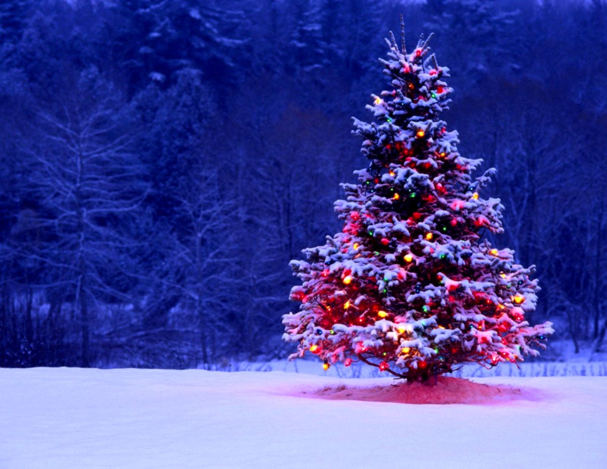 Christmas Winter Scenes Wallpapers